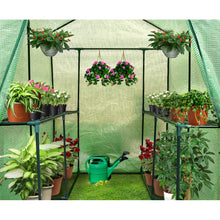 Greenhouse Garden Shed Green House 1.9X1.2M - Cheap Choices